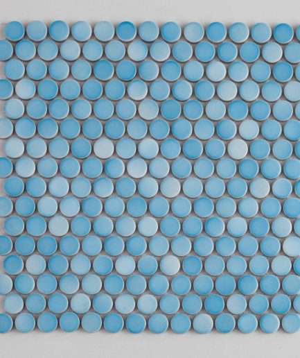 Голубая мозаика монетки 19A-036
