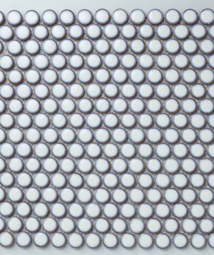 Белая мозаика монетки 19EB-074