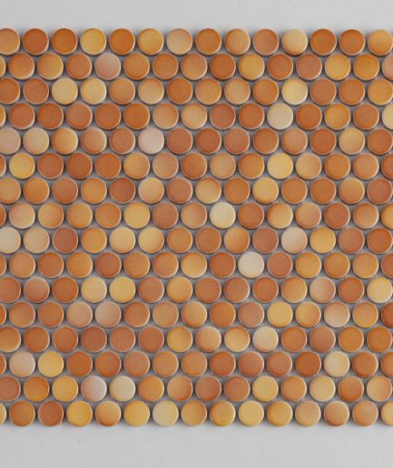 Оранжевая мозаика монетки 19A 031