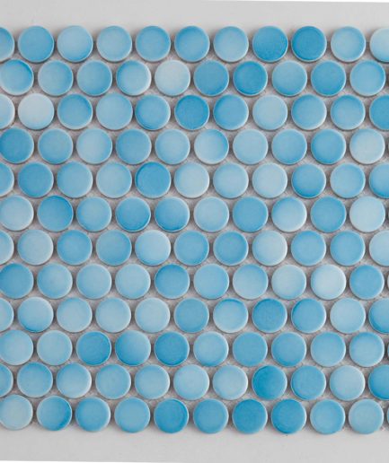 Голубая мозаика монетки 28А-036